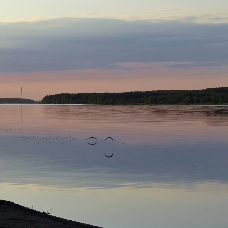 в розовом закате чайки над водой... - Валентина. .