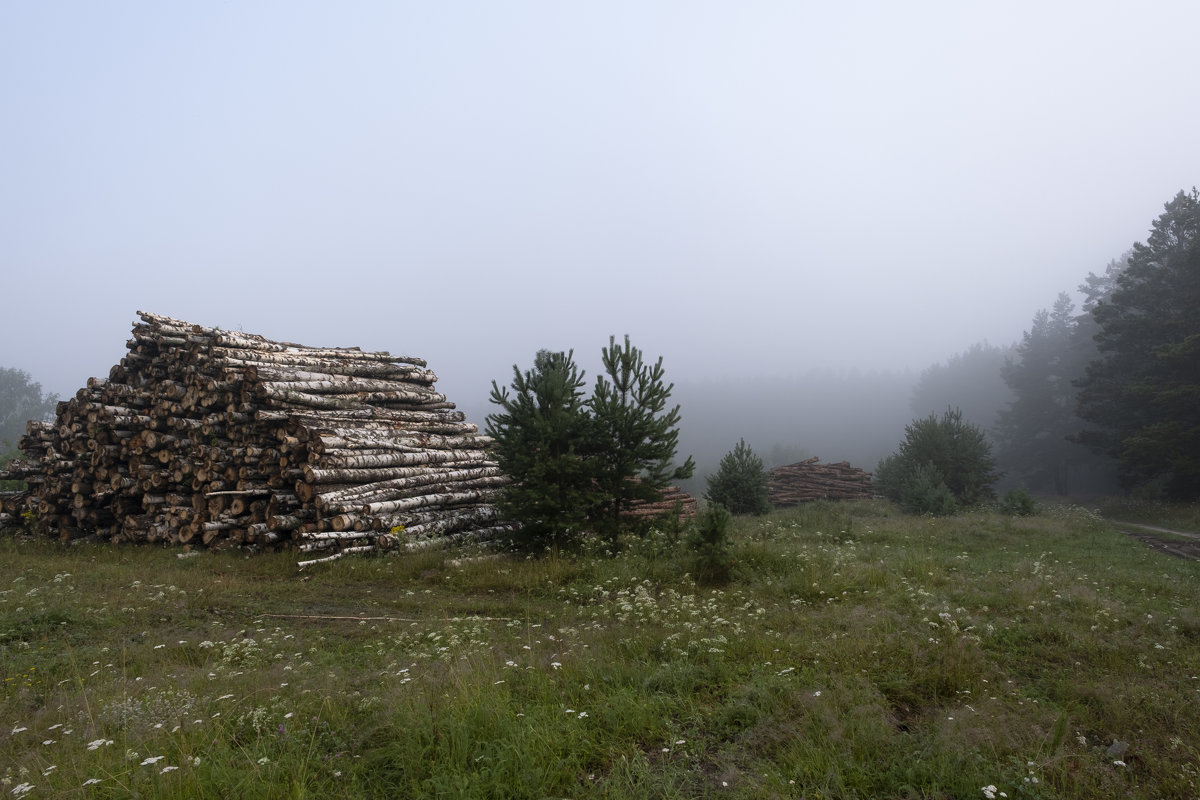 *** - Александр Гурьянов