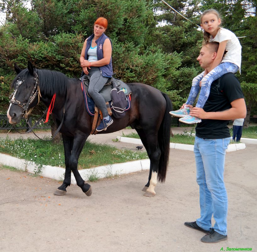 Ну что, поскакали наперегонки? :-) - Андрей Заломленков