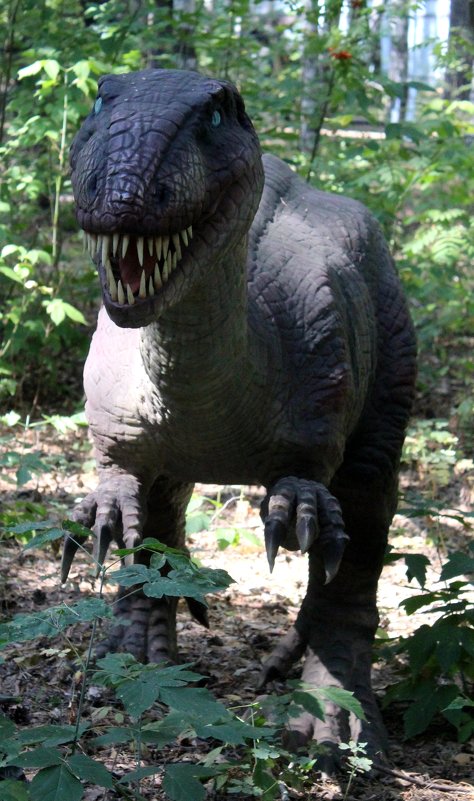 динозавры - ольга хакимова