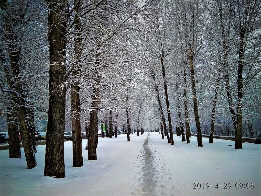 Весенний снег - Василий 