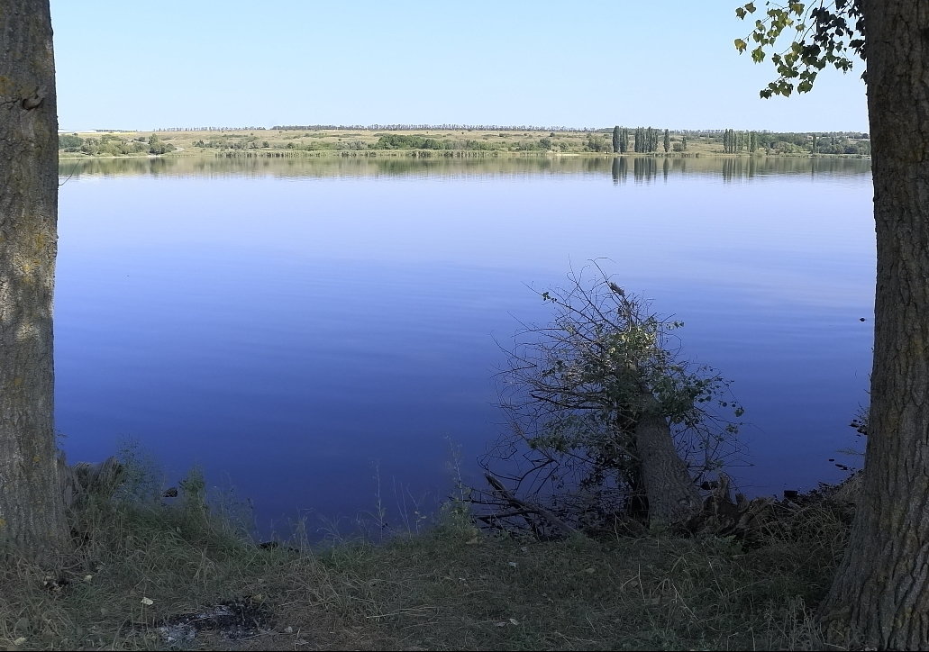 Курлацкий пруд - Владимир Стаценко