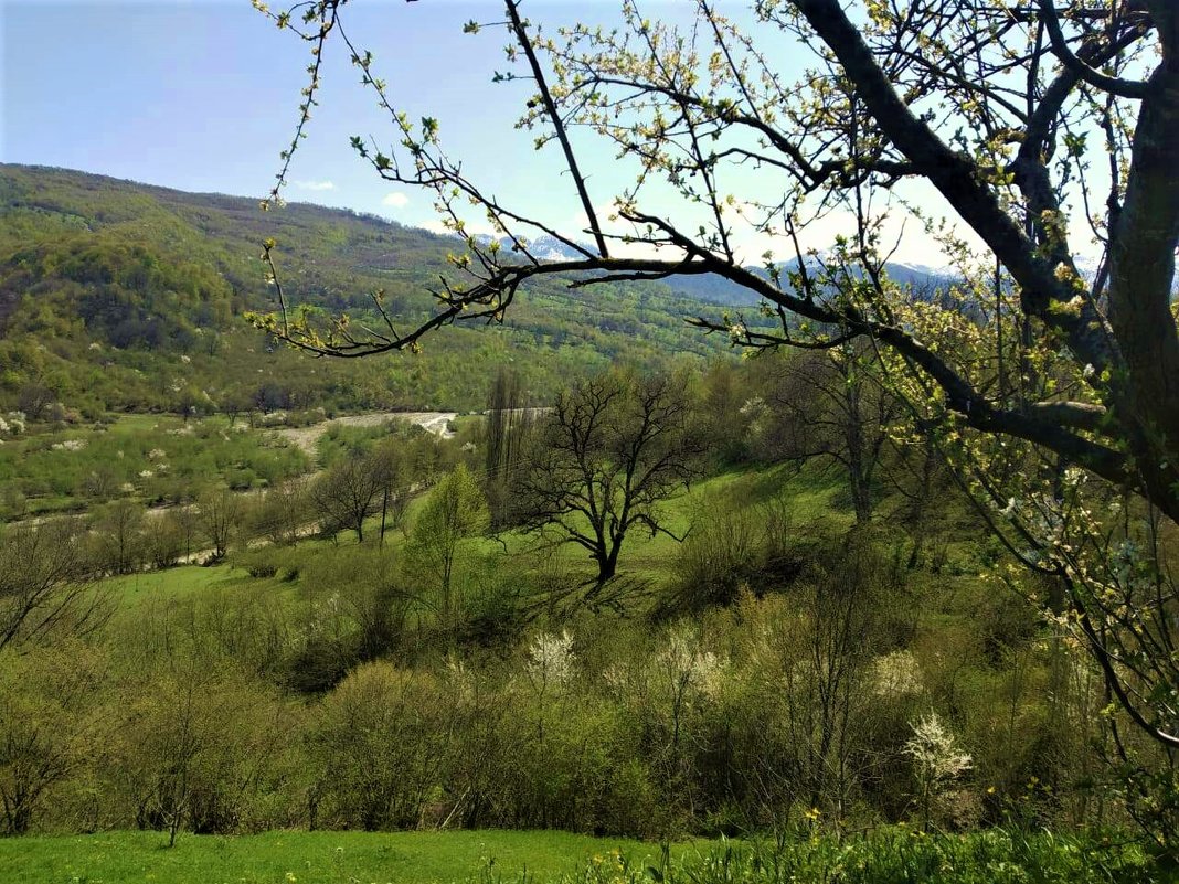 Весна в горах - Алла ZALLA