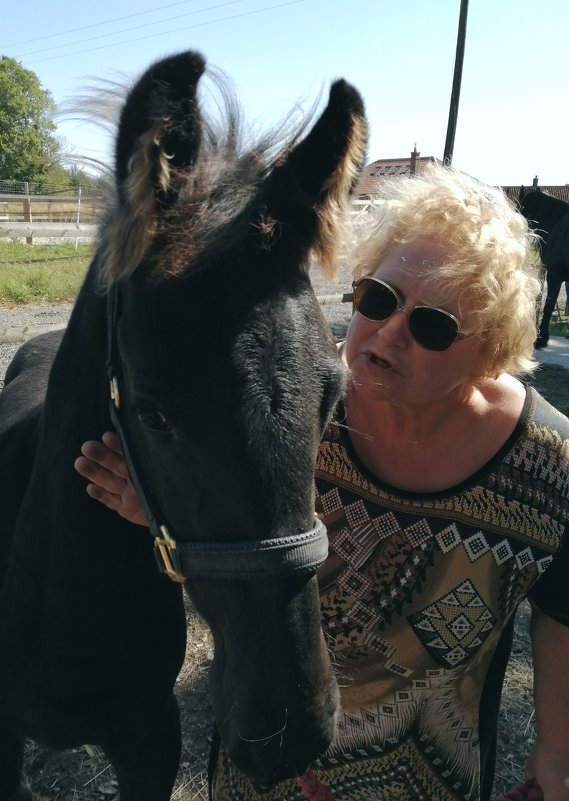 Я люблю свою лошадку...) - Тамара Бедай 