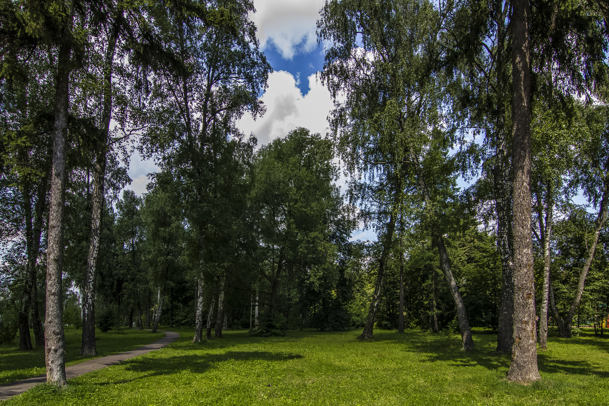 в парке - Петр Беляков