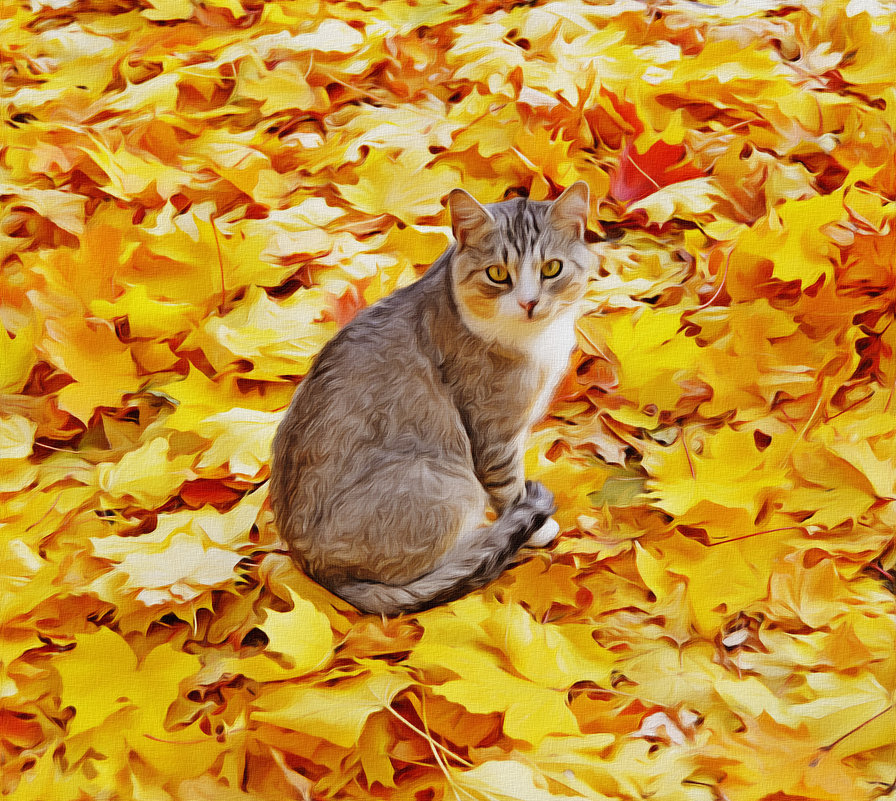 Осенний  кот. - Vladimir Semenchukov