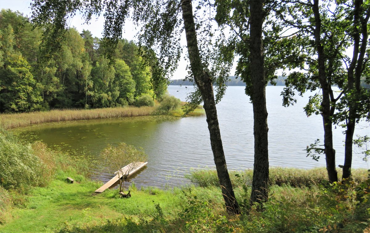 озеро Сапшо - Ольга Митрофанова