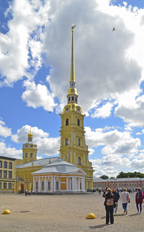 Петропавловский собор - Нина Синица