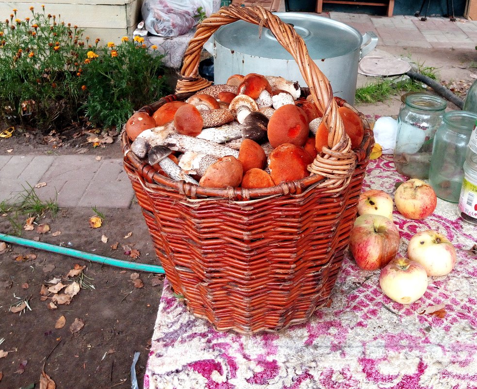 Вот такой дачный натюрморт... - Aлександр **