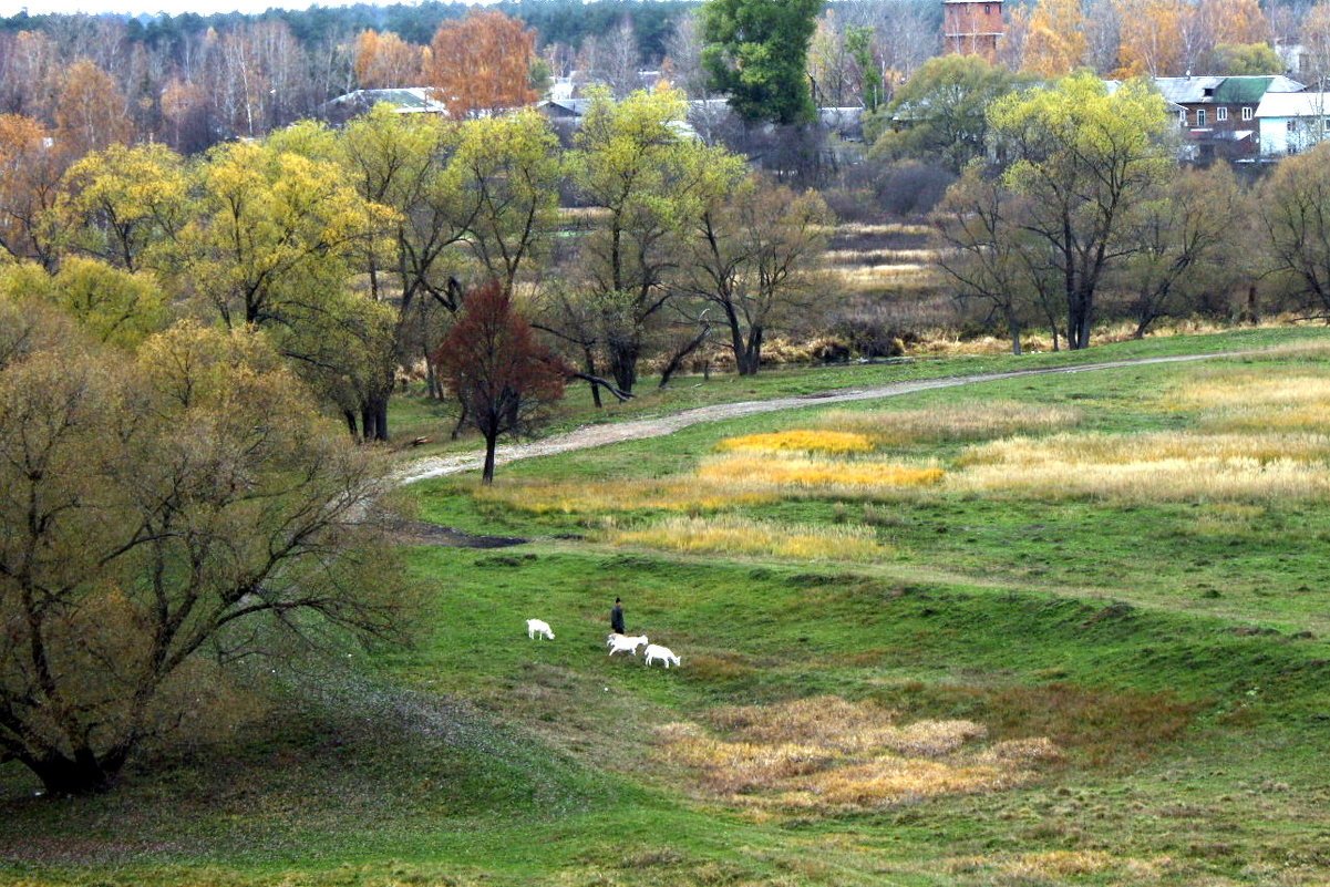 заливные луга в Киржаче - Любовь 