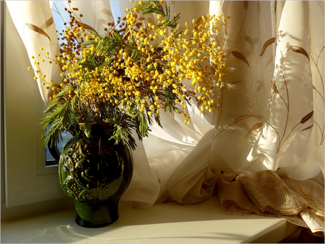 Букет мимозы на окне - Лидия Бараблина