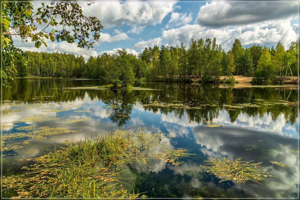 Лесное озеро, осень - Андрей Дворников