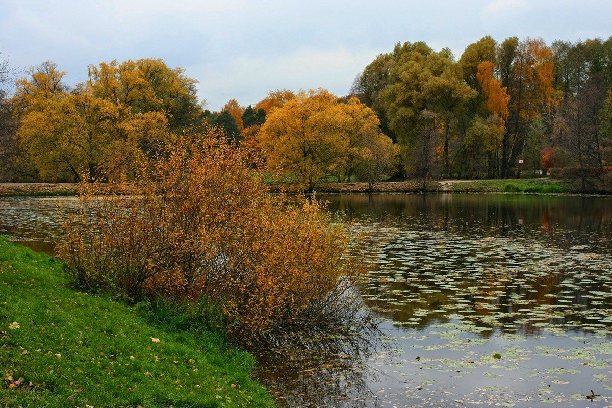 Осень в Кузьминках - Игорь Белоногов