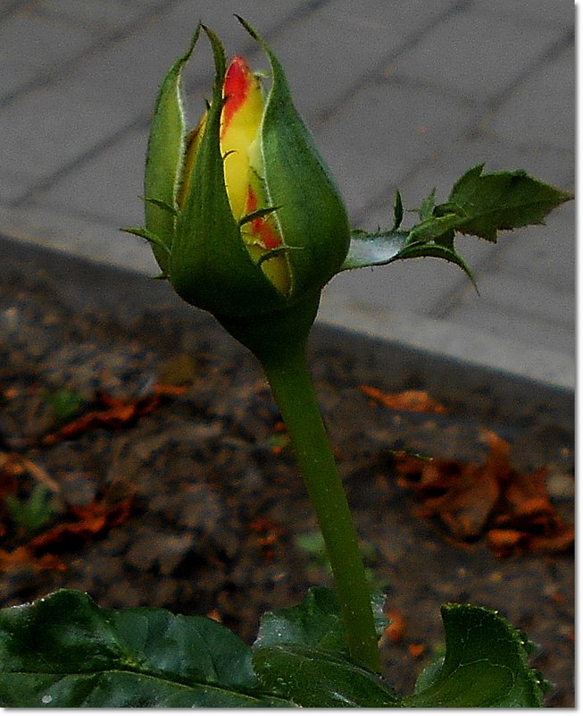 Всё ещё впереди... ) - Людмила 