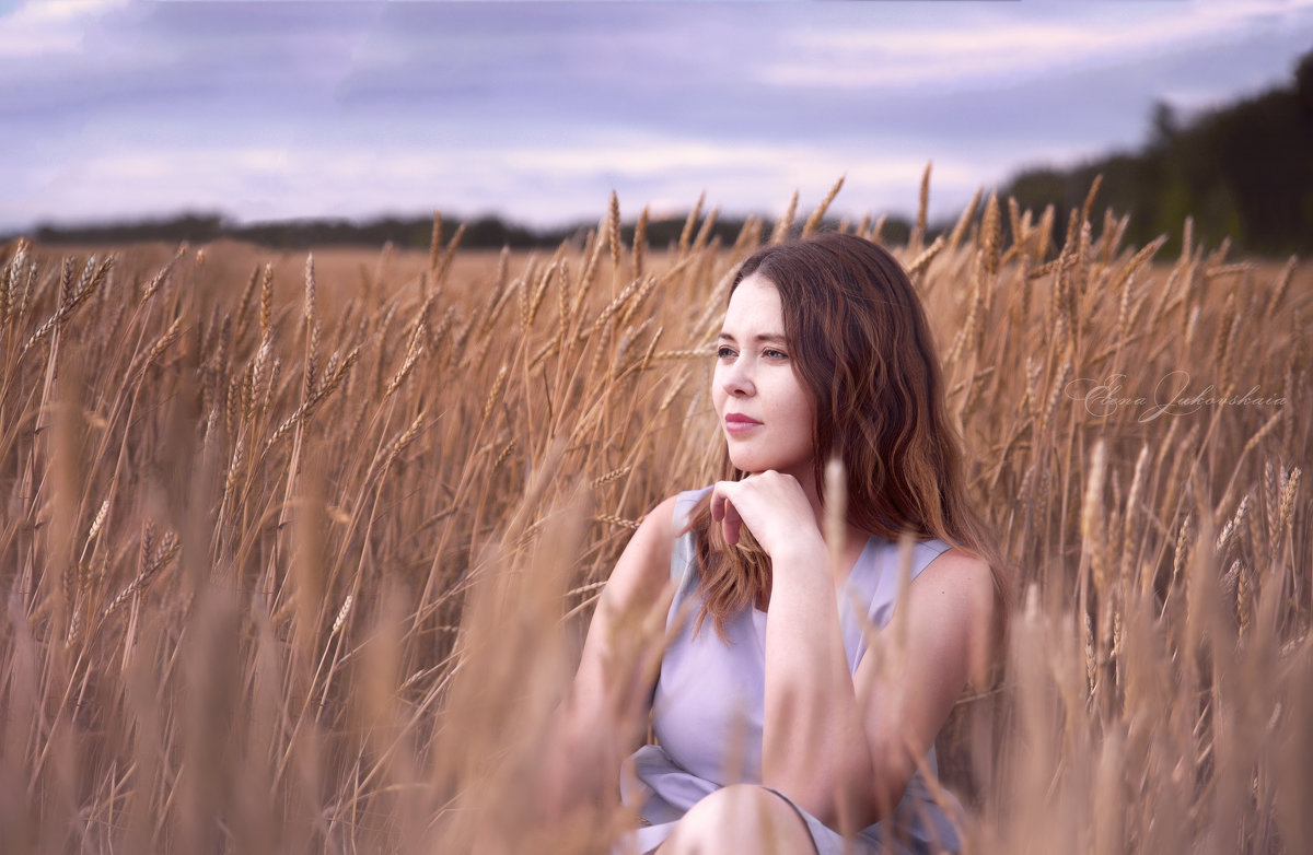девушка в поле на закате - Elena Jukovskaia