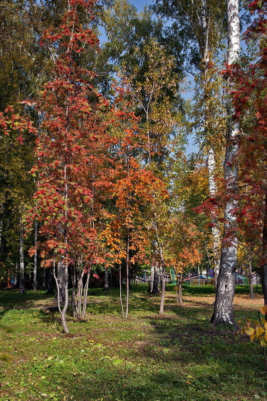 Осень - Владимир Габов