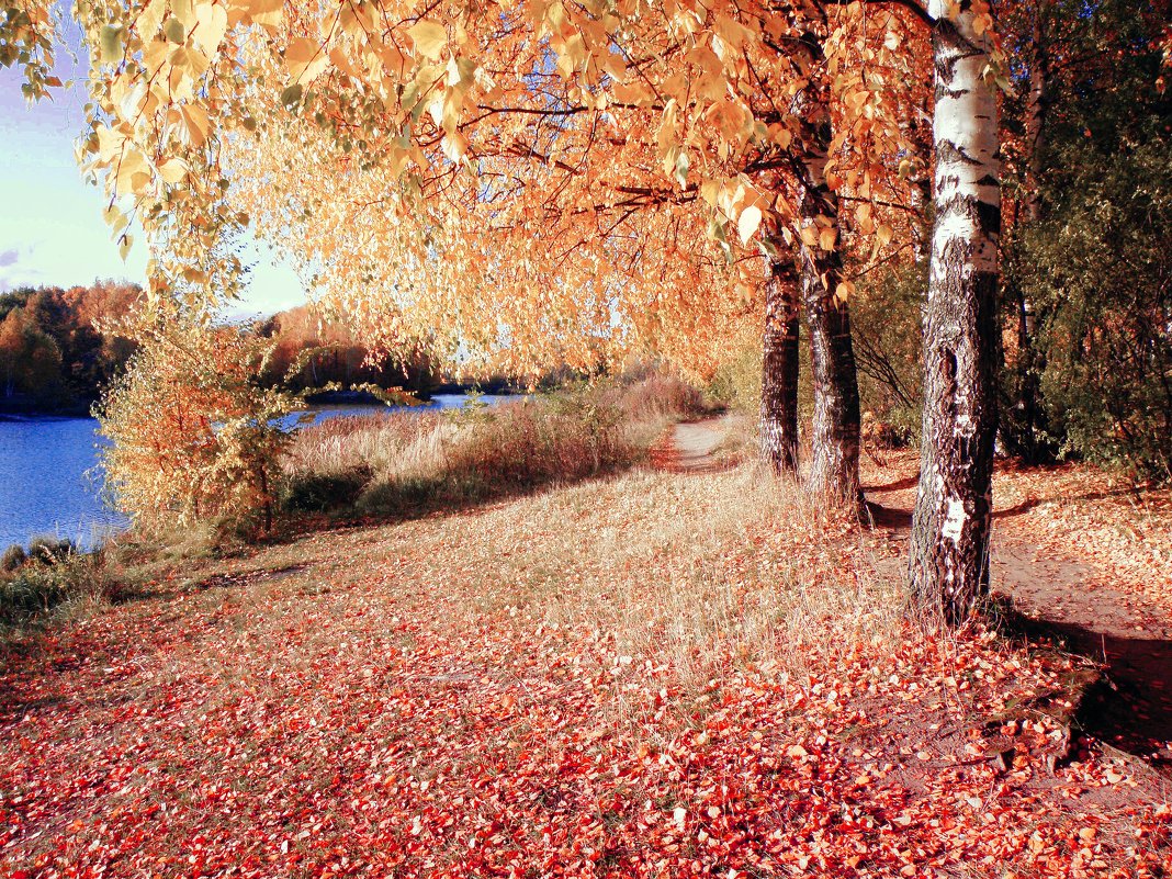 Magical autumn... - Андрей Головкин