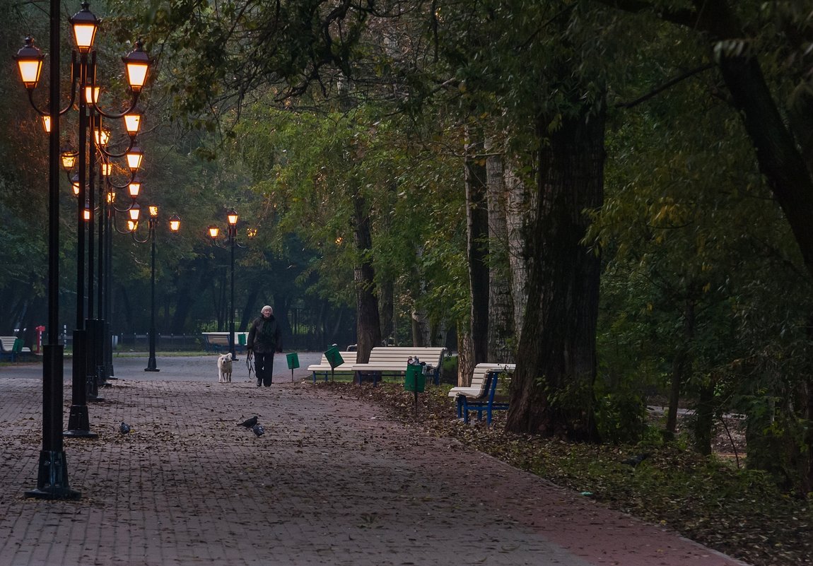 В осеннем парке городском - Валерий Иванович