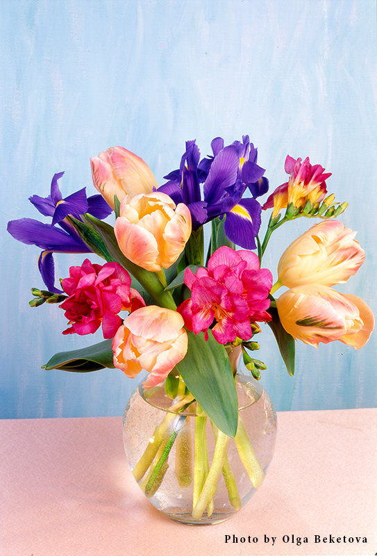 Тюльпаны в стеклянной вазе - Ольга Бекетова