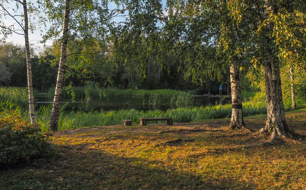 Прогулки в Осеннем Парке - юрий поляков