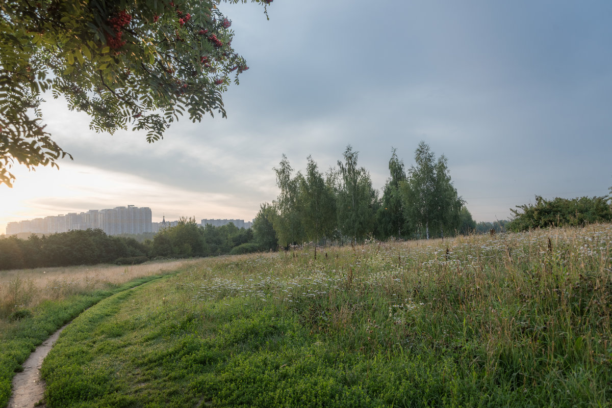 *** - Владимир Безбородов