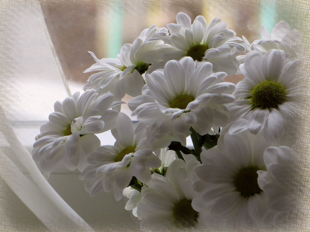 Цветы для моей подруги, Ларисы Авдониной, она любила осенние цветы... - Татьяна Смоляниченко