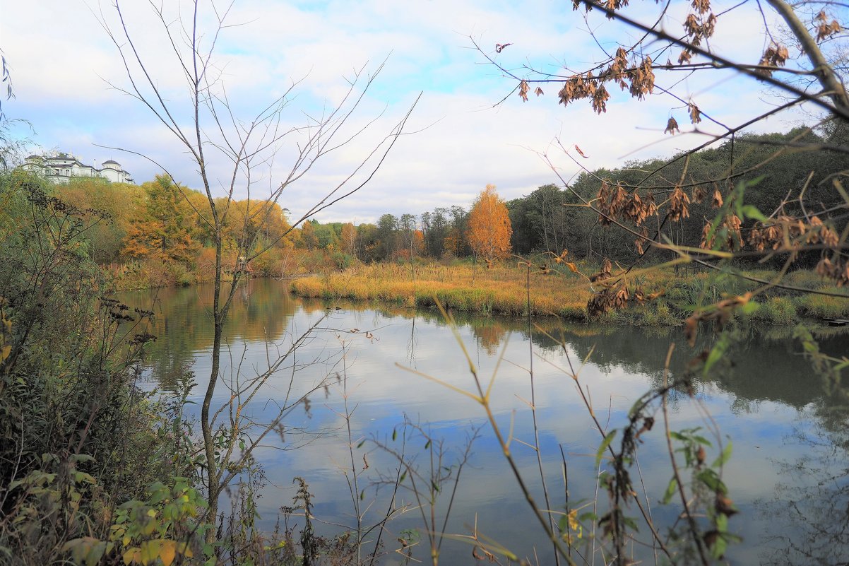 Осенний пейзаж на реке Химка - Евгений Седов