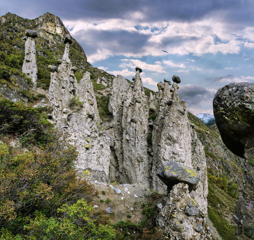 Каменные грибы,Алтай - Алексей Мезенцев