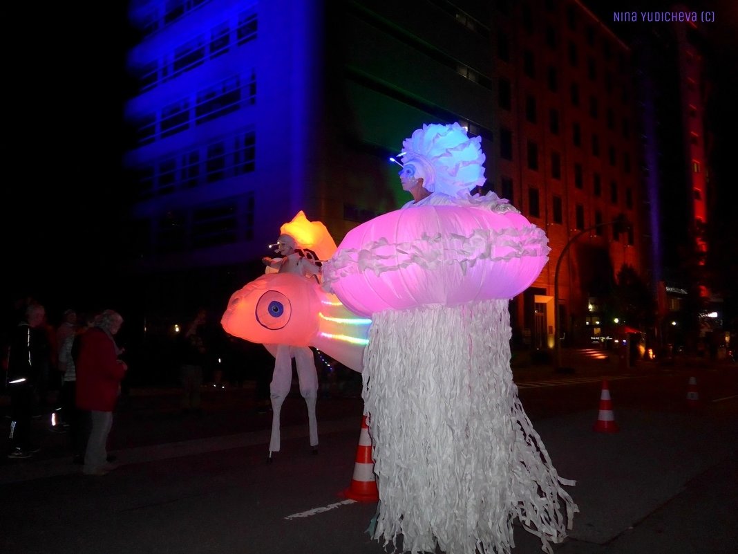 Nacht der Lichter Harburg - Nina Yudicheva