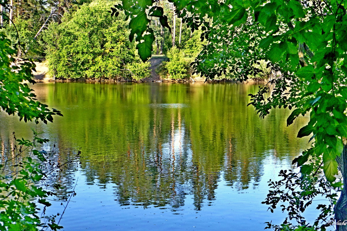 На лесном озере - Raduzka (Надежда Веркина)