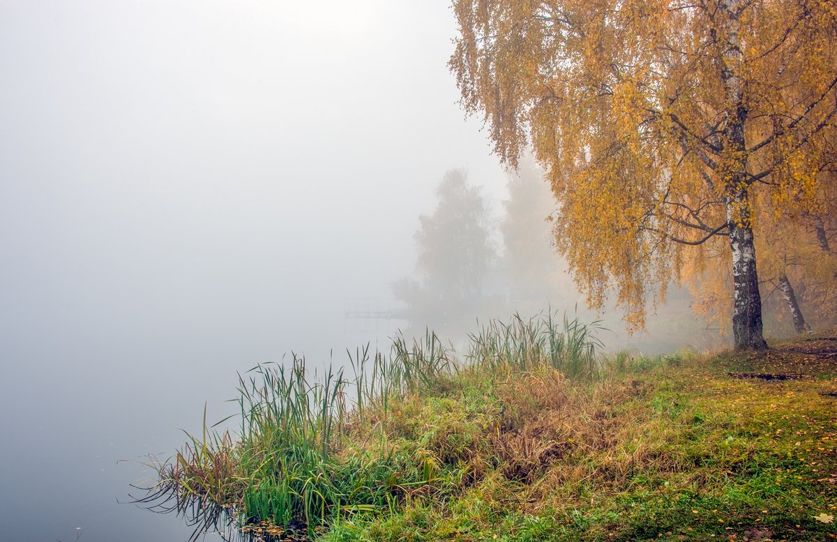 Осень река туман