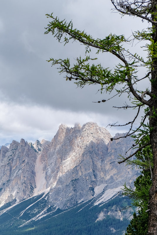 Доломитовые Альпы. Кортина д'Ампеццо. Вид с горы Фалория - Надежда Лаптева
