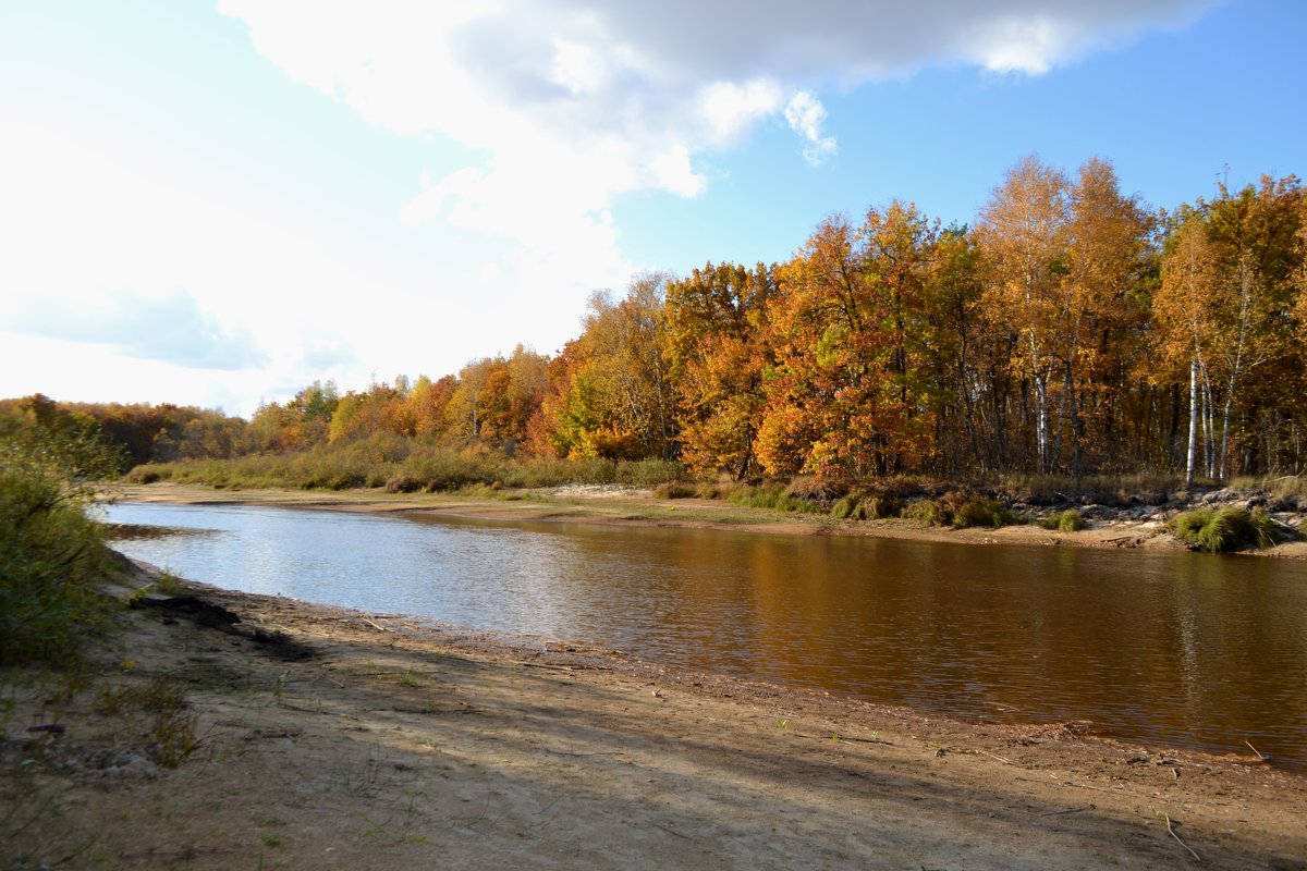 Тихо осень плывет по реке - Galina Solovova