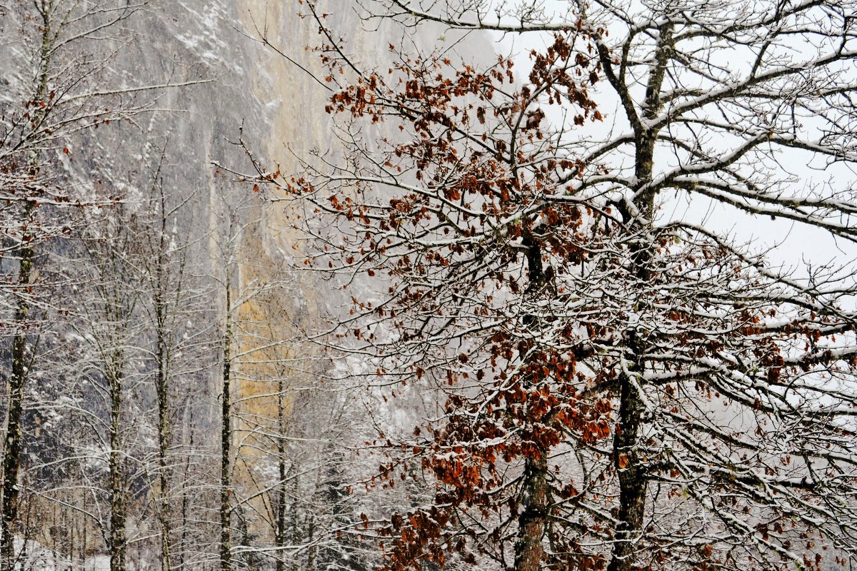 Зима на Тёплицзее - Милана Гиличенски 