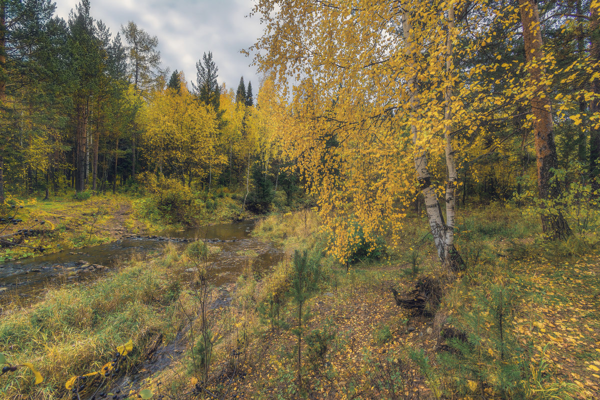Осенний пейзаж - Vladimbormotov 