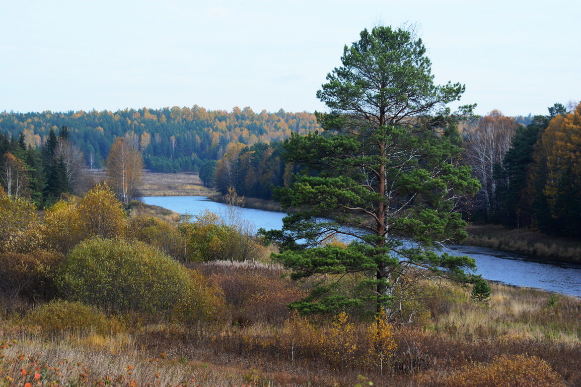 *** - Александр 