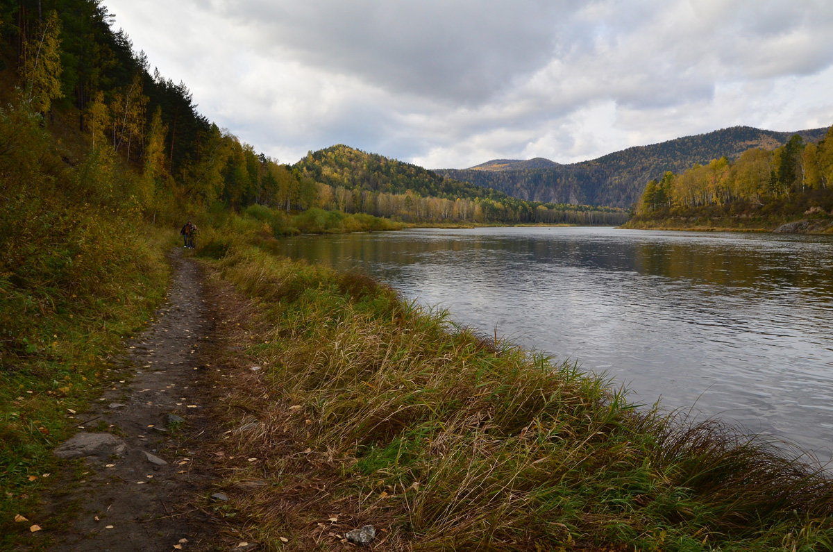 Осень в Сибири, река Мана - Татьяна Соловьева