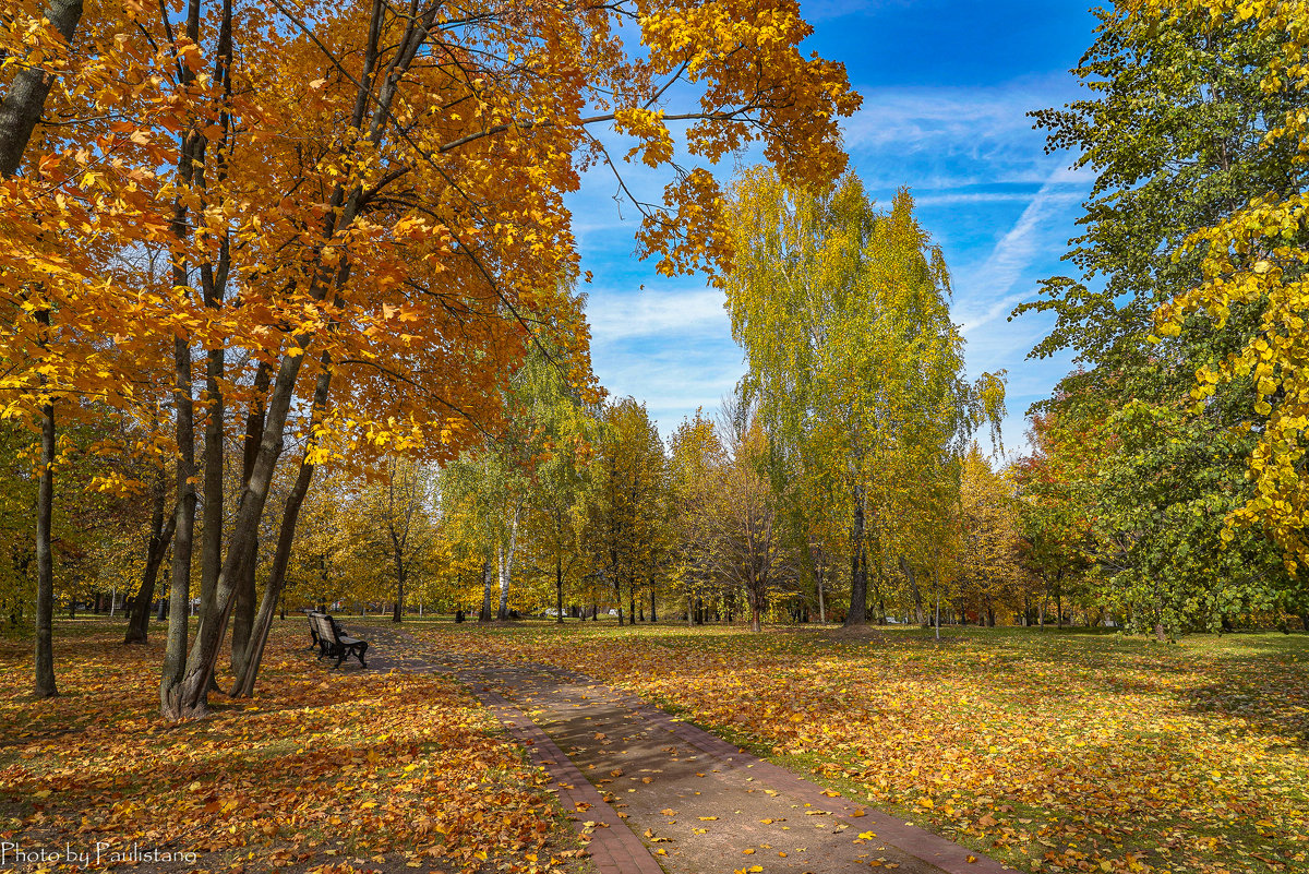 В осеннем парке - Владимир Жданов