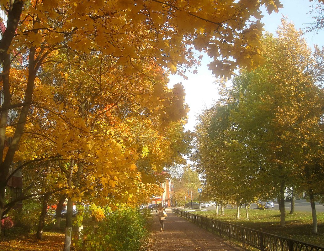 Золотая осень в моем городе - Елена Семигина
