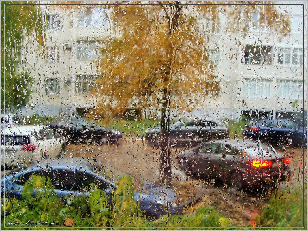 Просто дождь за окном - °•●Елена●•° ♀