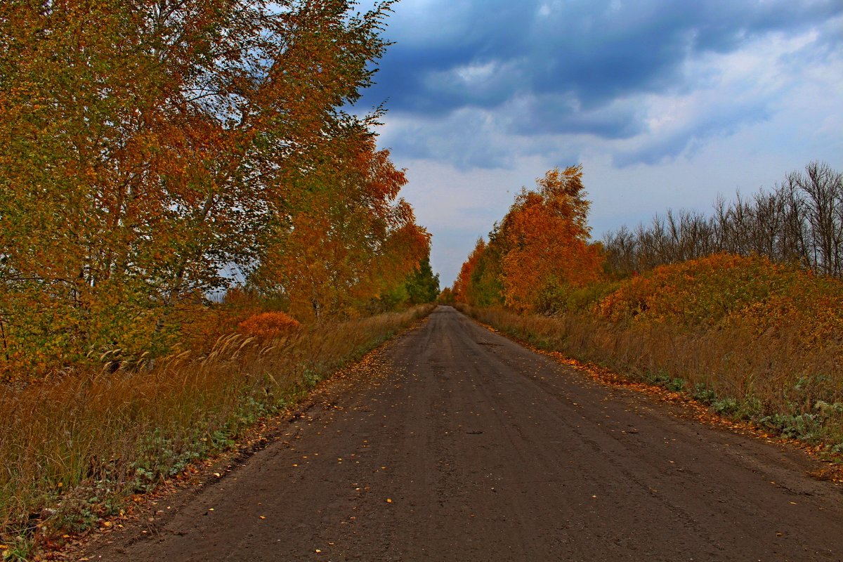Дорога в Осень - Татьяна Са