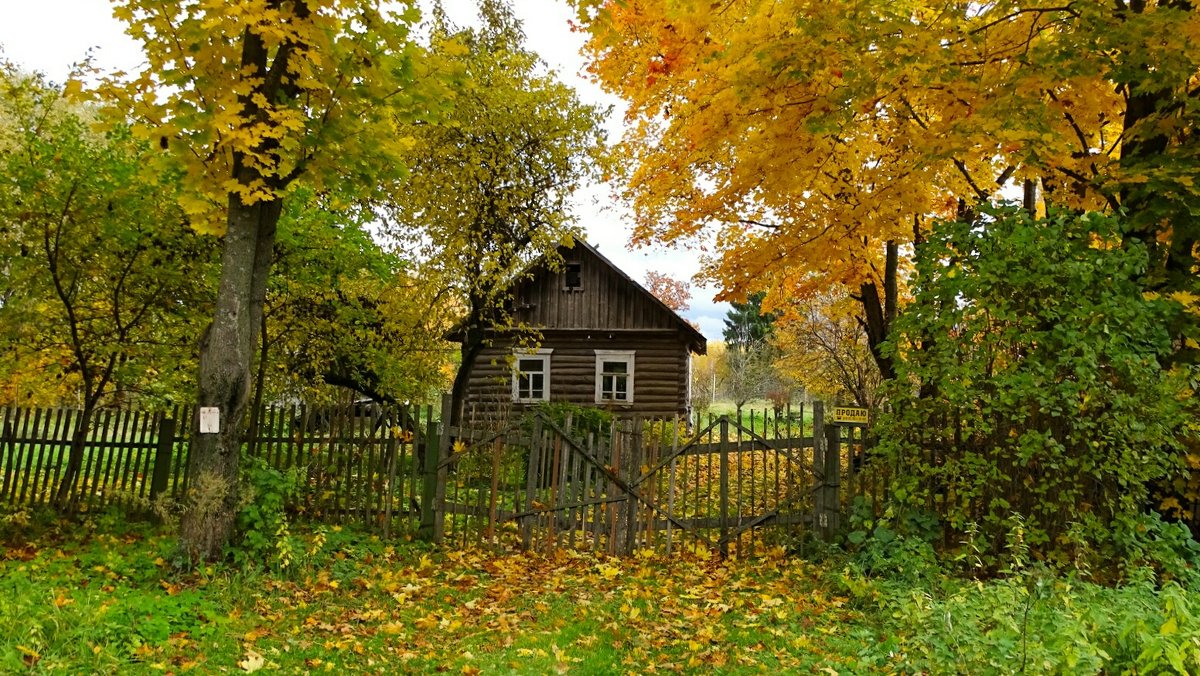 Домик в  деревне - Милешкин Владимир Алексеевич 