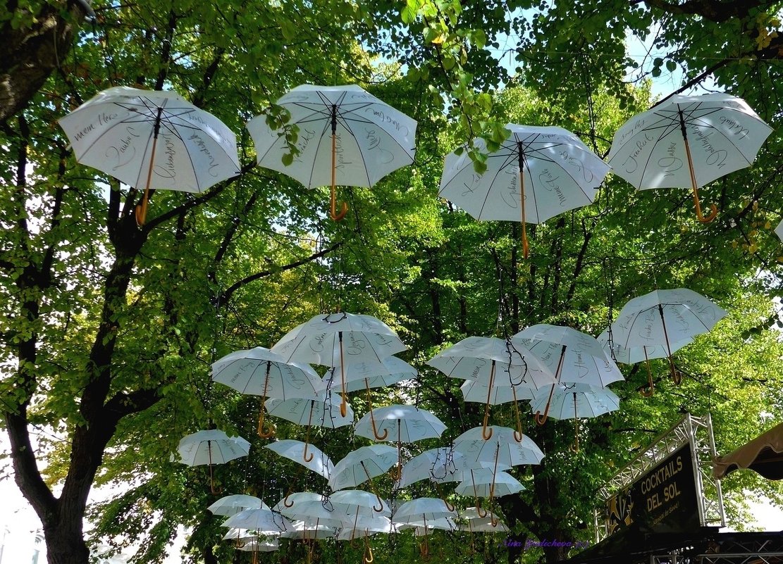 Скромное очарование белых зонтиков :) - Nina Yudicheva