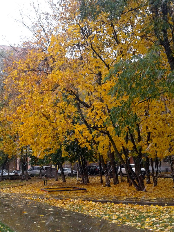 Осень городе_ - Alexander Borisovsky