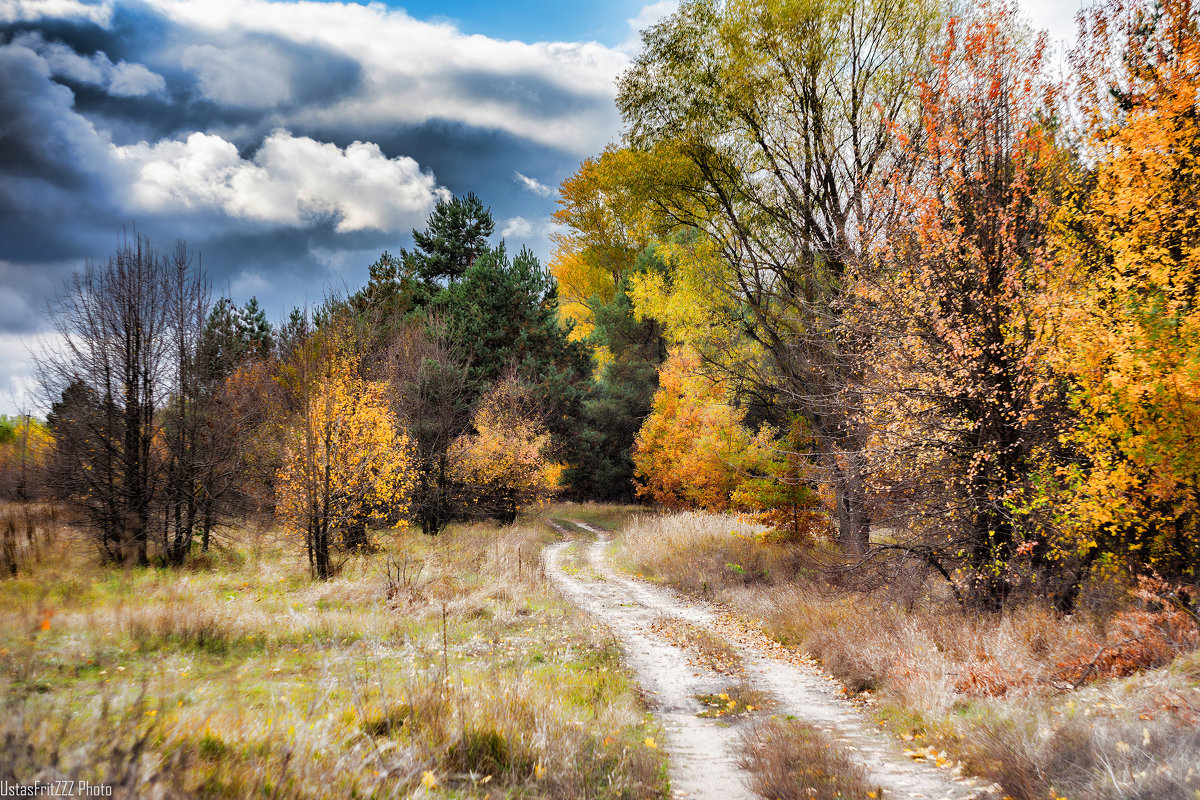 Осенний лес перед бурей - Ustas FritZZZ