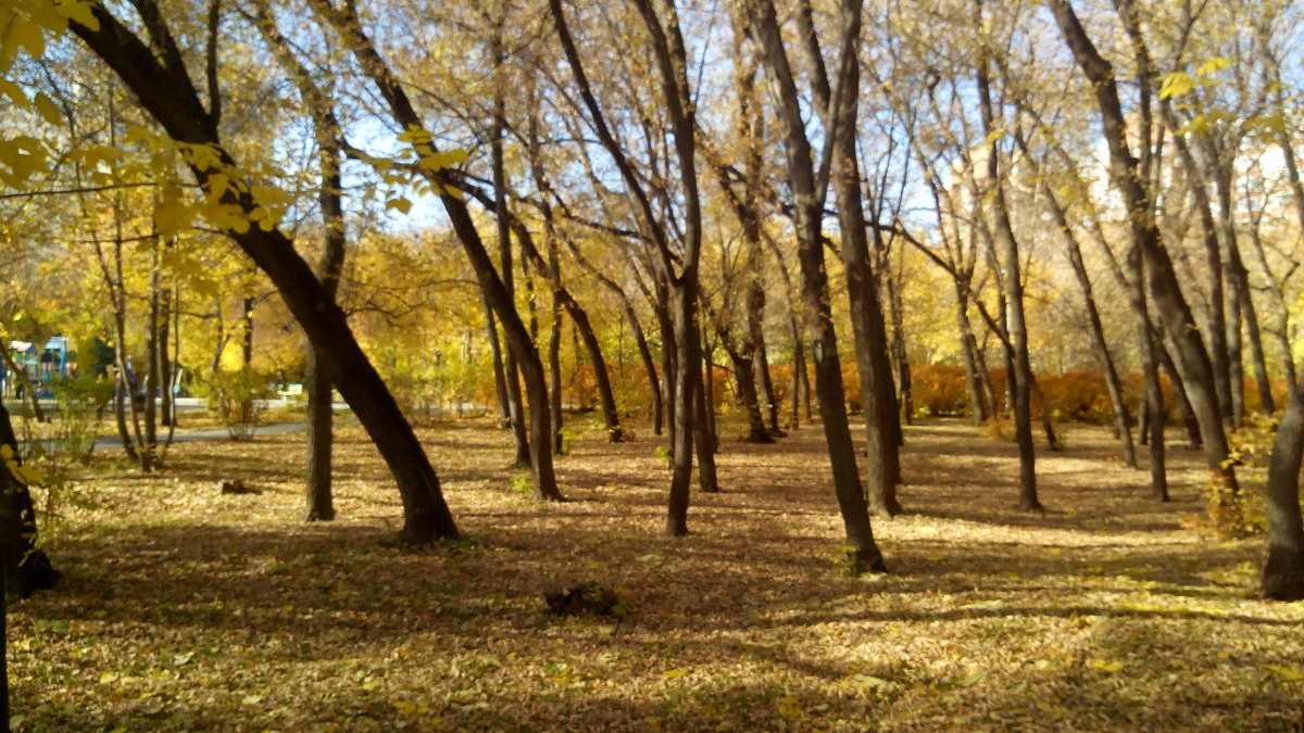 autumn - Елена Елена