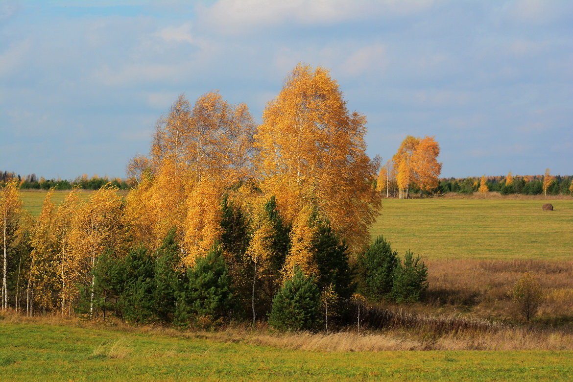 *** - Александр 