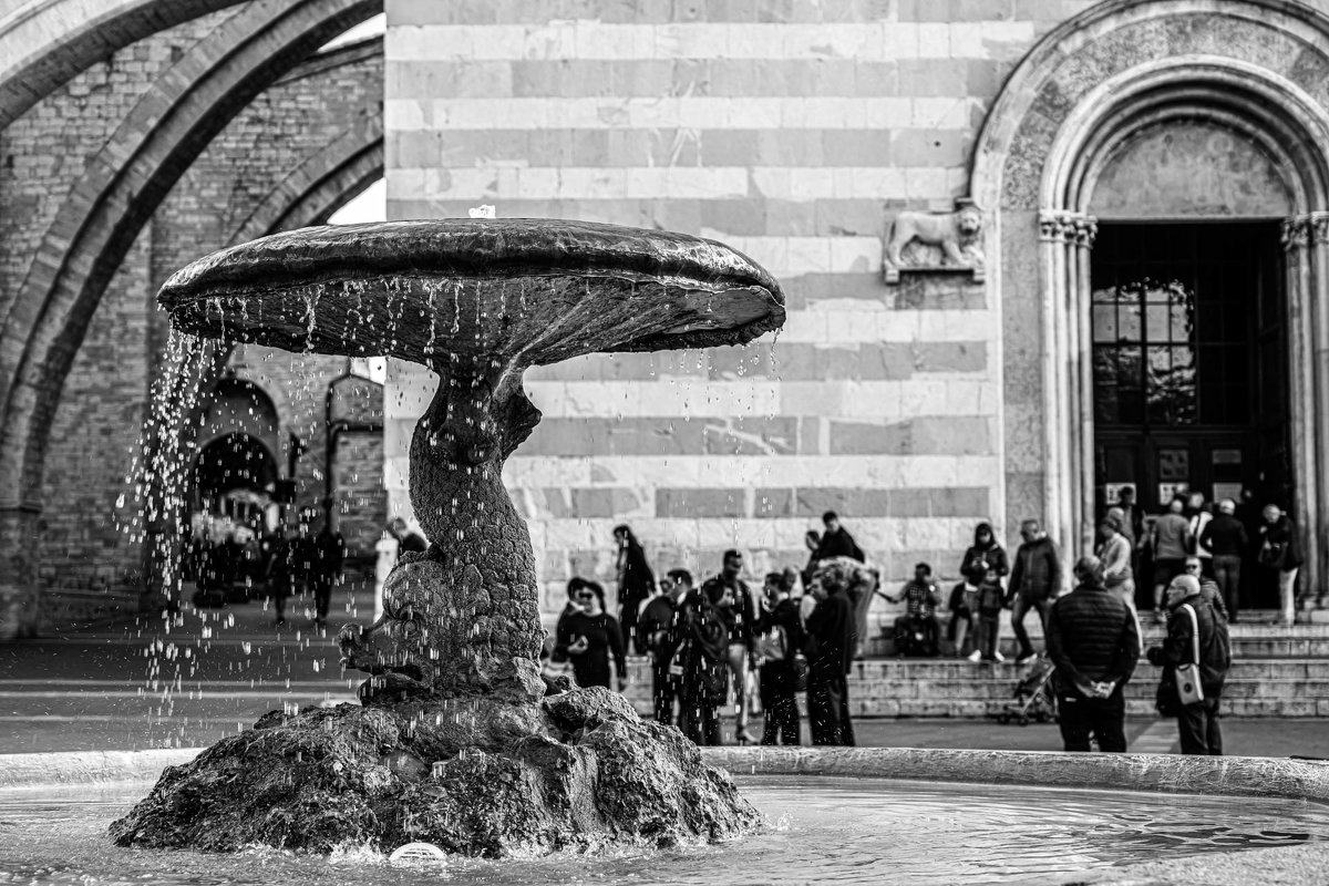 Assisi, Fontana in piazza Basilica di Santa. Chiara - Konstantin Rohn