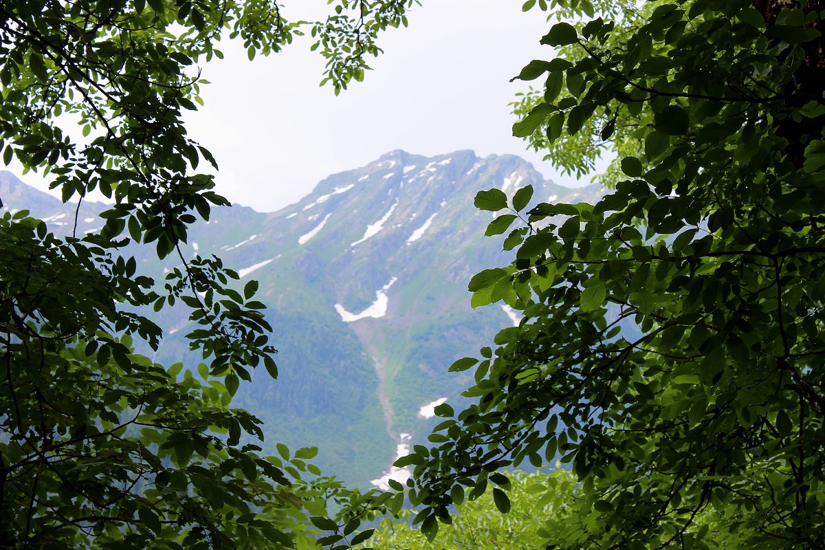 В  горах  Абхазии - Татьяна Пальчикова