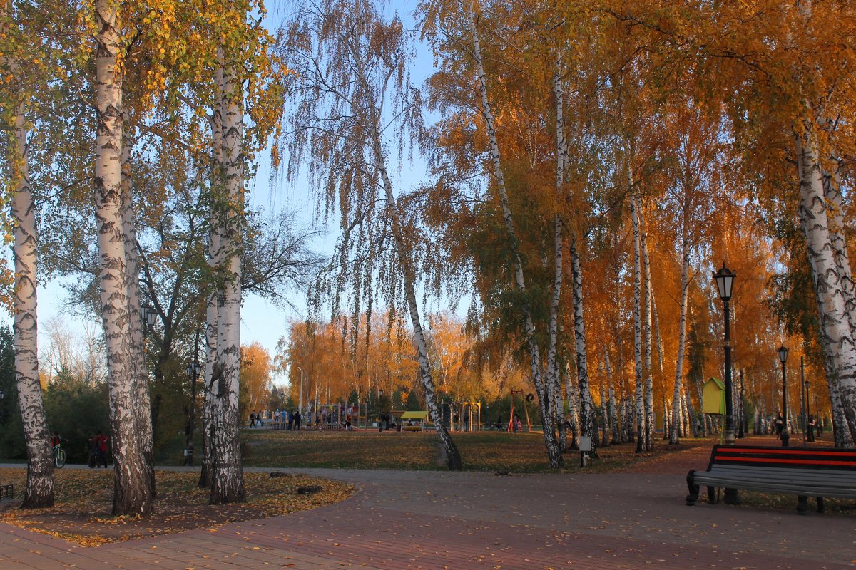 В городском парке - Горкун Ольга Николаевна 